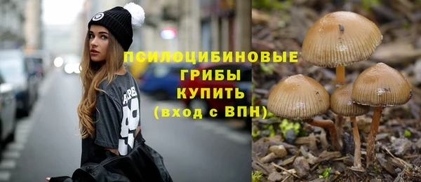 индика Надым