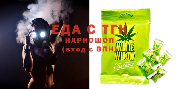 индика Надым