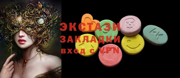 индика Надым