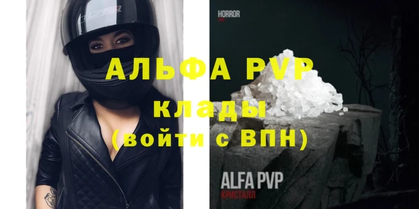 индика Надым