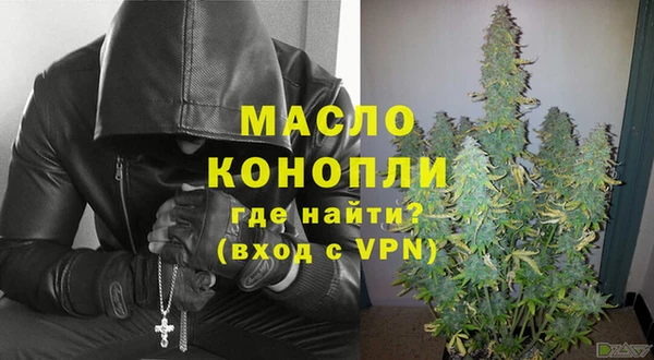 индика Надым