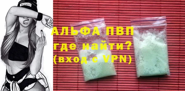 индика Надым