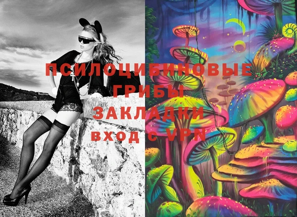 индика Надым