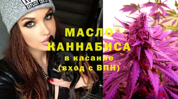 индика Надым