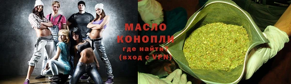 индика Надым